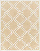 Lake Creek Modern Light Orange Area Rug