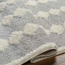 Lick Creek Modern Gray Area Rug