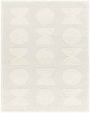 Linn Valley Modern Light Gray Area Rug