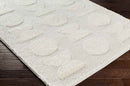 Linn Valley Modern Light Gray Area Rug