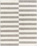 Lodomillo Modern Medium Gray Area Rug