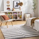 Lodomillo Modern Medium Gray Area Rug