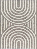 Long Island Modern Charcoal Area Rug
