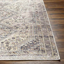 Tonganoxie Traditional Beige Washable Area Rug