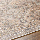 Tonganoxie Traditional Cider Washable Area Rug