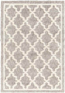 Clay Center Global Taupe Area Rug