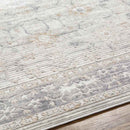 Keishawn Traditional Gray Area Rug