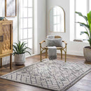 Deeanna Global Light Gray/Black Washable Area Rug