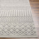 Louise Global Gray Area Rug