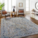 Emili Traditional Slate Gray Area Rug