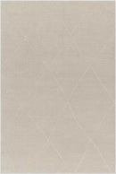 Pietro Global Taupe Washable Area Rug