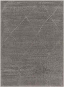 Pietro Global Charcoal Washable Area Rug