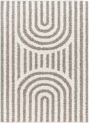 Toshiba Modern Ivory/Dark Brown Area Rug