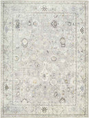 Davina Traditional Light Gray Area Rug - Becki Owens x Livabliss