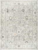 Davina Traditional Light Gray Area Rug - Becki Owens x Livabliss