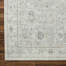 Davina Traditional Light Gray Area Rug - Becki Owens x Livabliss