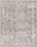 Davina Traditional Beige/Dark Brown Area Rug - Becki Owens x Livabliss