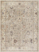 Davina Traditional Camel Area Rug - Becki Owens x Livabliss