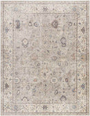 Davina Traditional Camel Area Rug - Becki Owens x Livabliss