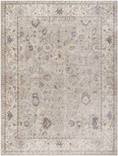 Davina Traditional Camel Area Rug - Becki Owens x Livabliss