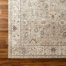 Davina Traditional Camel Area Rug - Becki Owens x Livabliss