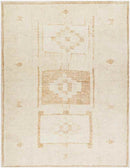 Solana Global Apricot Area Rug - Becki Owens x Livabliss