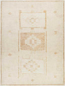 Solana Global Apricot Area Rug - Becki Owens x Livabliss