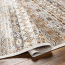 Shardey Rustic Burnt Orange/Ivory Area Rug