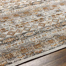 Shardey Rustic Burnt Orange/Ivory Area Rug