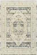 Javonte Traditional Light Beige/Pale Blue Area Rug