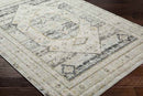 Javonte Traditional Light Beige/Pale Blue Area Rug