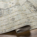Javonte Traditional Light Beige/Pale Blue Area Rug