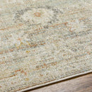 Absalon Traditional Burnt Orange/Light Beige Area Rug