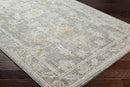 Absalon Traditional Light Beige/Medium Gray Area Rug