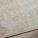 Joylynn Traditional Dusty Sage/Burnt Orange Area Rug