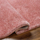 Dalon Modern Coral Area Rug