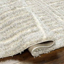 Aubree Modern Light Gray/Cream Area Rug