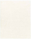 Charon Modern Ivory Area Rug