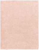 Charon Modern Coral Area Rug