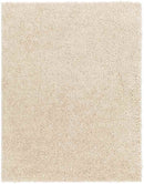 Charon Modern Beige Area Rug