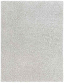Charon Modern Silver Gray Area Rug