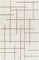Lyndy Modern Beige/Dark Brown Area Rug