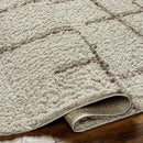 Lyndy Modern Light Brown Area Rug