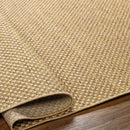 Sarahjane Modern Brown Area Rug