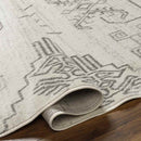 Shequila Global Gray Area Rug