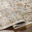 Rosangela Traditional Mocha Area Rug