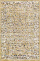 Jerime Traditional Amber Area Rug