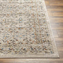 Jerime Traditional Mocha Area Rug