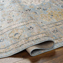 Corine Traditional Ice Blue Area Rug