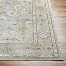 Corine Traditional Ice Blue Area Rug